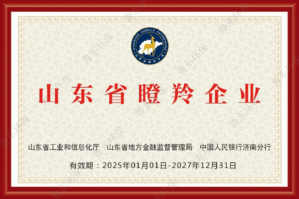 山東省瞪羚企業(yè)